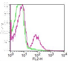 Monoclonal Antibody to CD19 (clone: AE1)